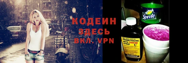 прущие крисы Горняк