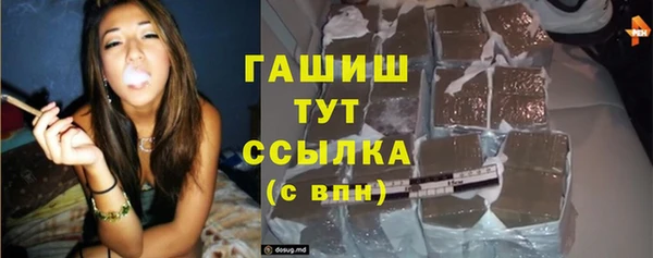 прущие крисы Горняк