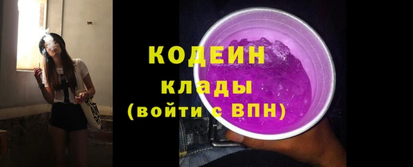 прущие крисы Горняк