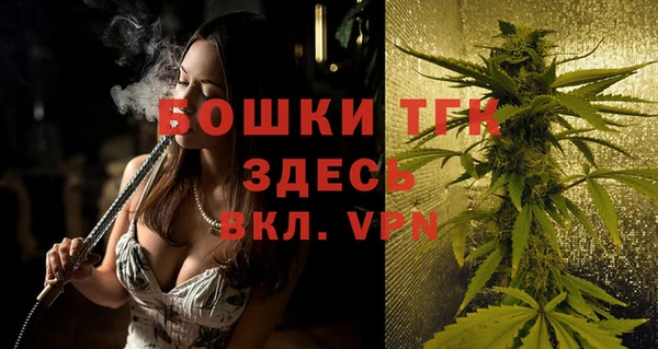 прущие крисы Горняк