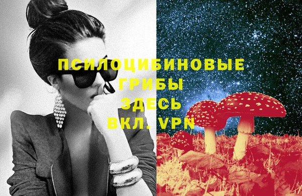 spice Горно-Алтайск