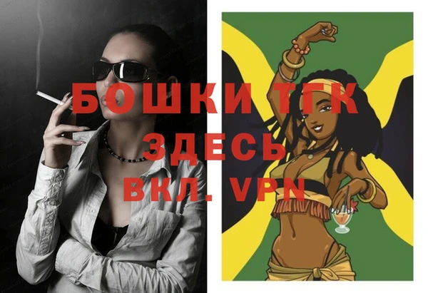 прущие крисы Горняк