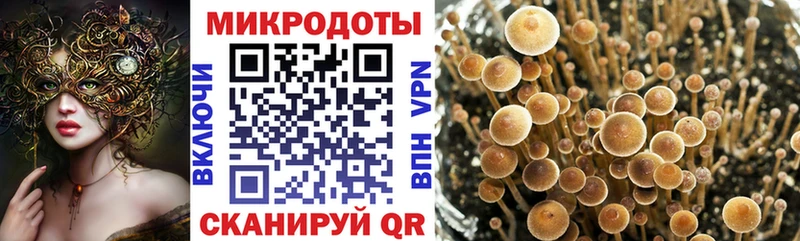 Купить закладки  Никольск  Псилоцибиновые грибы ЛСД 
