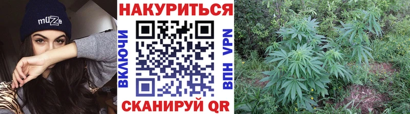 Купить закладки  Никольск  Марихуана ГИДРОПОН 